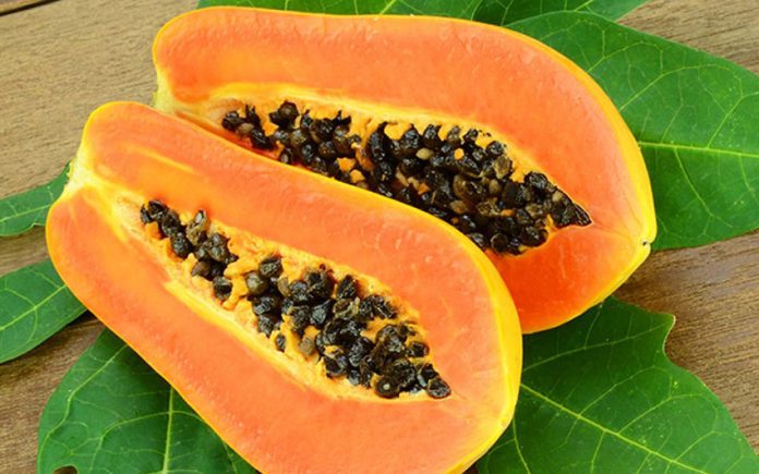 In Mexico, there's a whole world of papayas to explore.