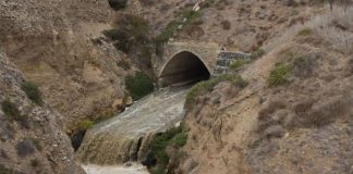 Wastewater discharge from Punta Bandera.