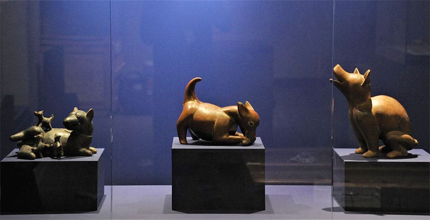 Pieces on display at the xolos exhibition in Mexico City.