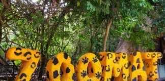 The beginnings of the Tuxtla zoo go back to 1942.