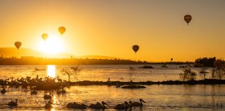 Balloons rise at dawn in León, Guanajuato.