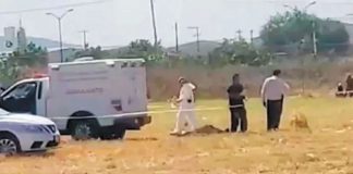 More remains in Guanajuato.