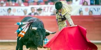 Now illegal in Quintana Roo.