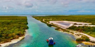 Dredging has begun on the canal in southern Quintana Roo.