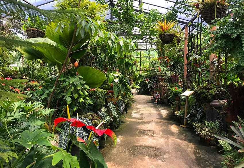 The Gardens have over 1,000 species of plants on display.
