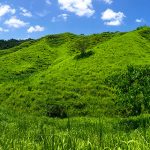 The Vallarta Botanical Gardens would like to purchase the land surrounding it to create a buffer zone.