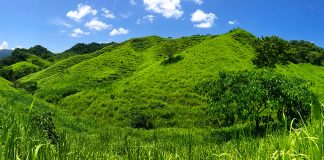 The Vallarta Botanical Gardens would like to purchase the land surrounding it to create a buffer zone.