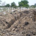 Common grave in Altamira, Tamaulipas.