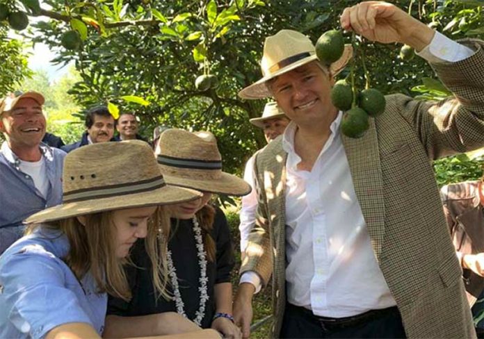 Ambassador Landau and his family visit an avocado orchard.