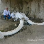 Mammoth bones that were found in a trap in México state.