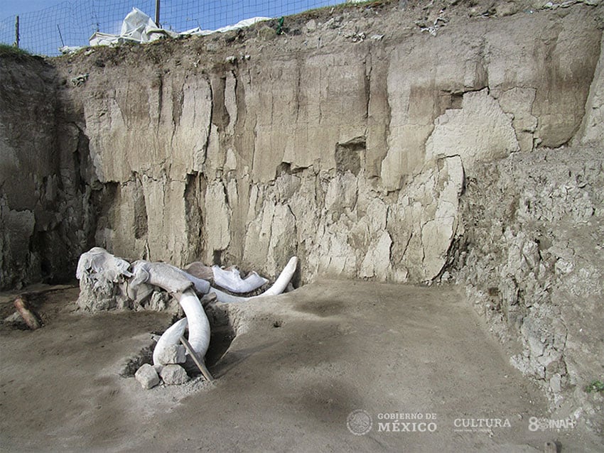 Mammoth remains near Tultepec, México state.