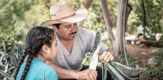 Antonio Carlos 'Conejo' Martínez shows his daughter Alma how to trim the baby agave roots for planting