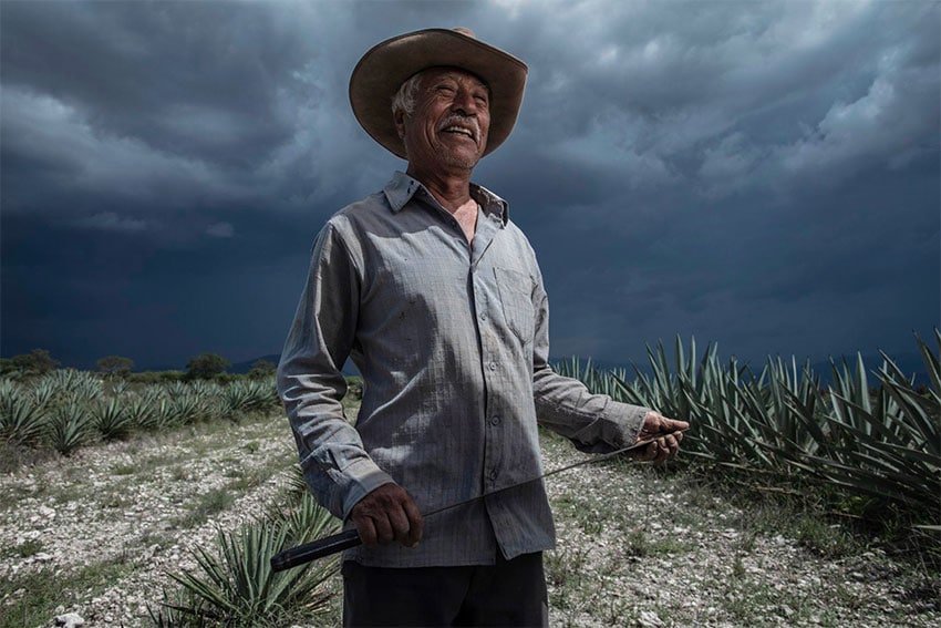 Felipe Cortés Venegas is one of the mezcaleros who work with Maguey Melate.