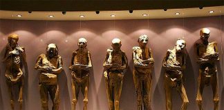 Some of Guanajuato's mummies are going on tour next year.