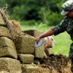 A soldier inspects seized marijuana.