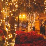 Christmas lights will adorn the city of Querétaro beginning Monday.