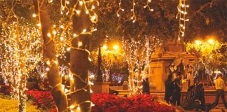 Christmas lights will adorn the city of Querétaro beginning Monday.
