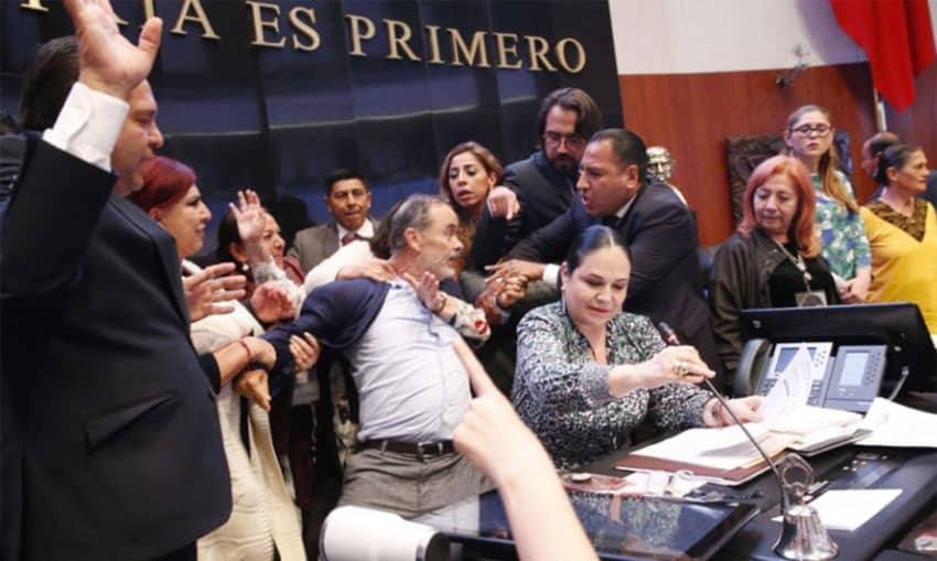 A commotion in the Senate during the swearing in of human rights chief.