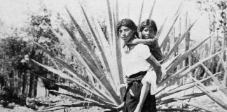 Slave mother and child and a henequen plant.