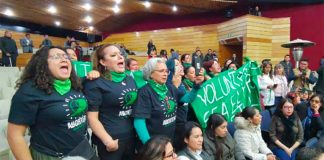 Pro-abortion lobby in the Hidalgo state Congress on Thursday.