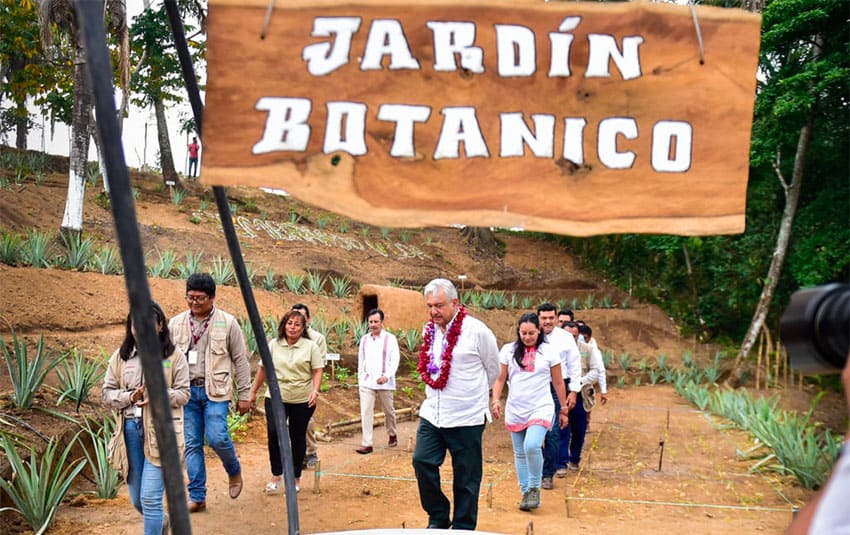 AMLO tours a nursery in Veracruz.