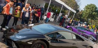 The Lamborghini fetched the top price in the auction of seven luxury vehicles.