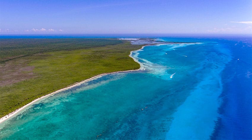 Cozumel Reefs National Marine Park