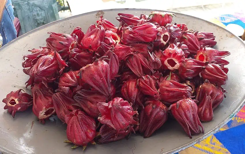 With Jamaica flowers you can flavor water or fill tacos.