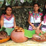 68 indigenous languages make Mexico linguistically diverse