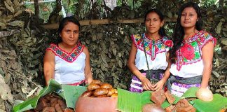 68 indigenous languages make Mexico linguistically diverse