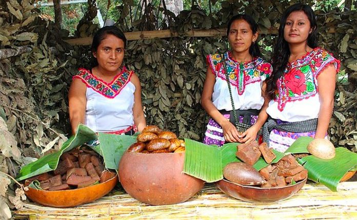 68 indigenous languages make Mexico linguistically diverse
