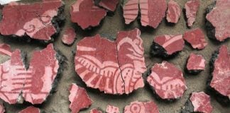Mural fragments depicting a bird that have been found at Teotihuacán. David Carballo/Proyecto Arqueológico Tlajinga
