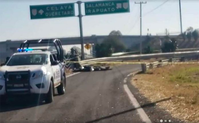 The bodies were found in bags on the Celaya-Salamanca highway.