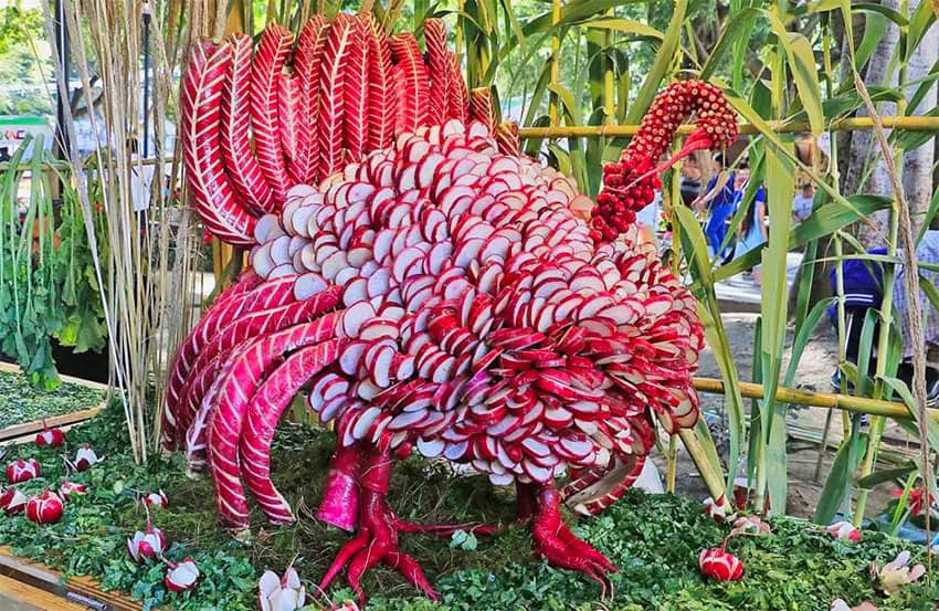 Hundreds of radishes went into creating this turkey at last year's event.