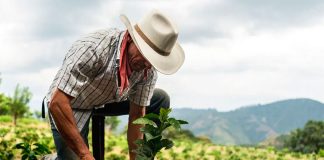 The federal employment program is operating in eight states.