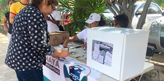A woman casts her vote on the train on Sunday.