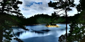 Lake Pojoj features an island with a small orchid and bromeliad garden.
