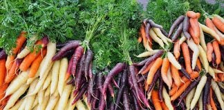 Carrots come in a rainbow of colors.