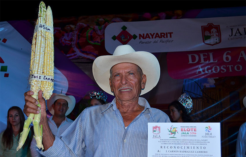 The 2016 winner with 45-centimeter cobs.