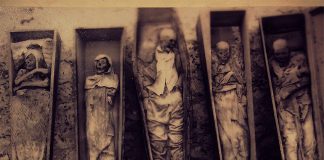 Mummies at the El Carmen Museum in Mexico City.