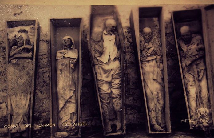 Mummies at the El Carmen Museum in Mexico City.
