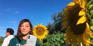 A visitor takes a selfie with Mocorito's sunflowers.