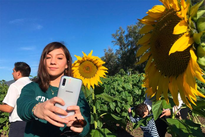 A visitor takes a selfie with Mocorito's sunflowers.