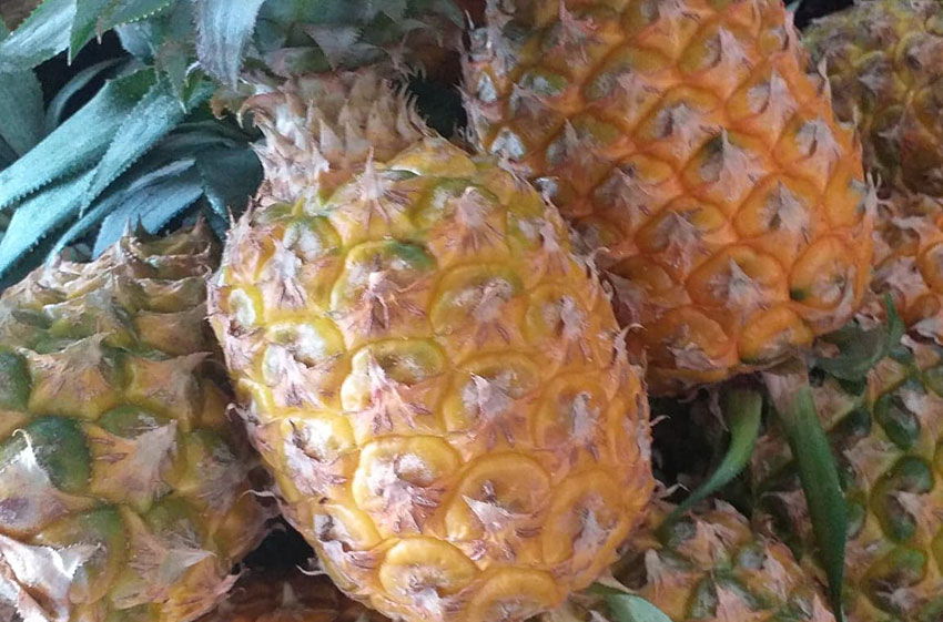 Honey pineapples are among the sweetest.