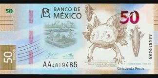 An unofficial replica of the new 50-peso banknote that has surfaced on social media.