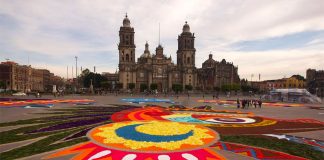 'Carpet' could be the world's largest.