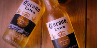 corona beer