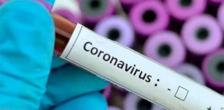 coronavirus