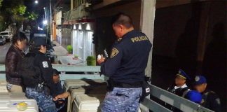 Dogs are gathered by officials in Mexico City this week.