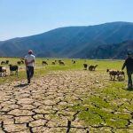 This was a 580-hectare lake.